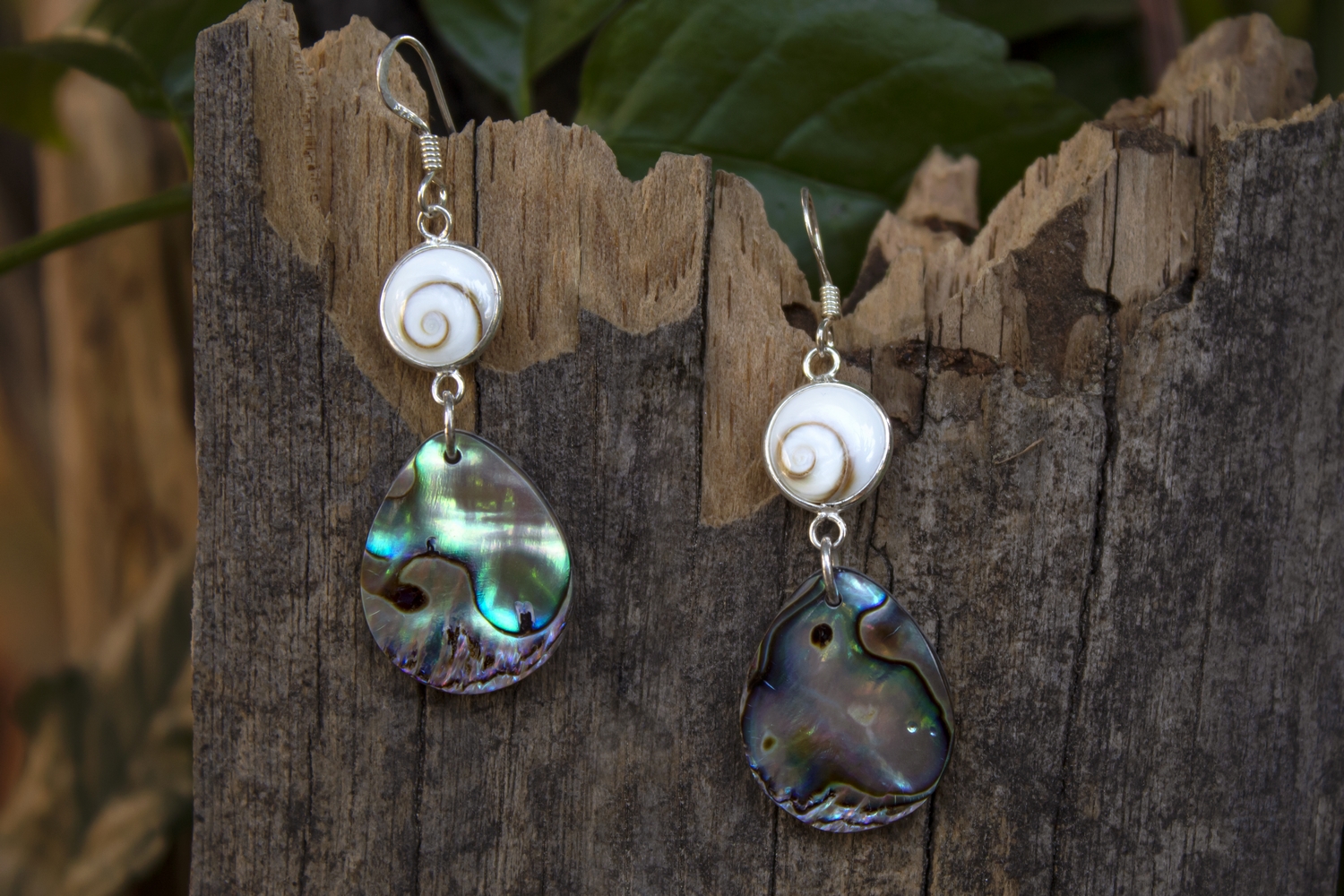 Rainbow shell deals jewelry